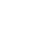 CCTV  facility icon